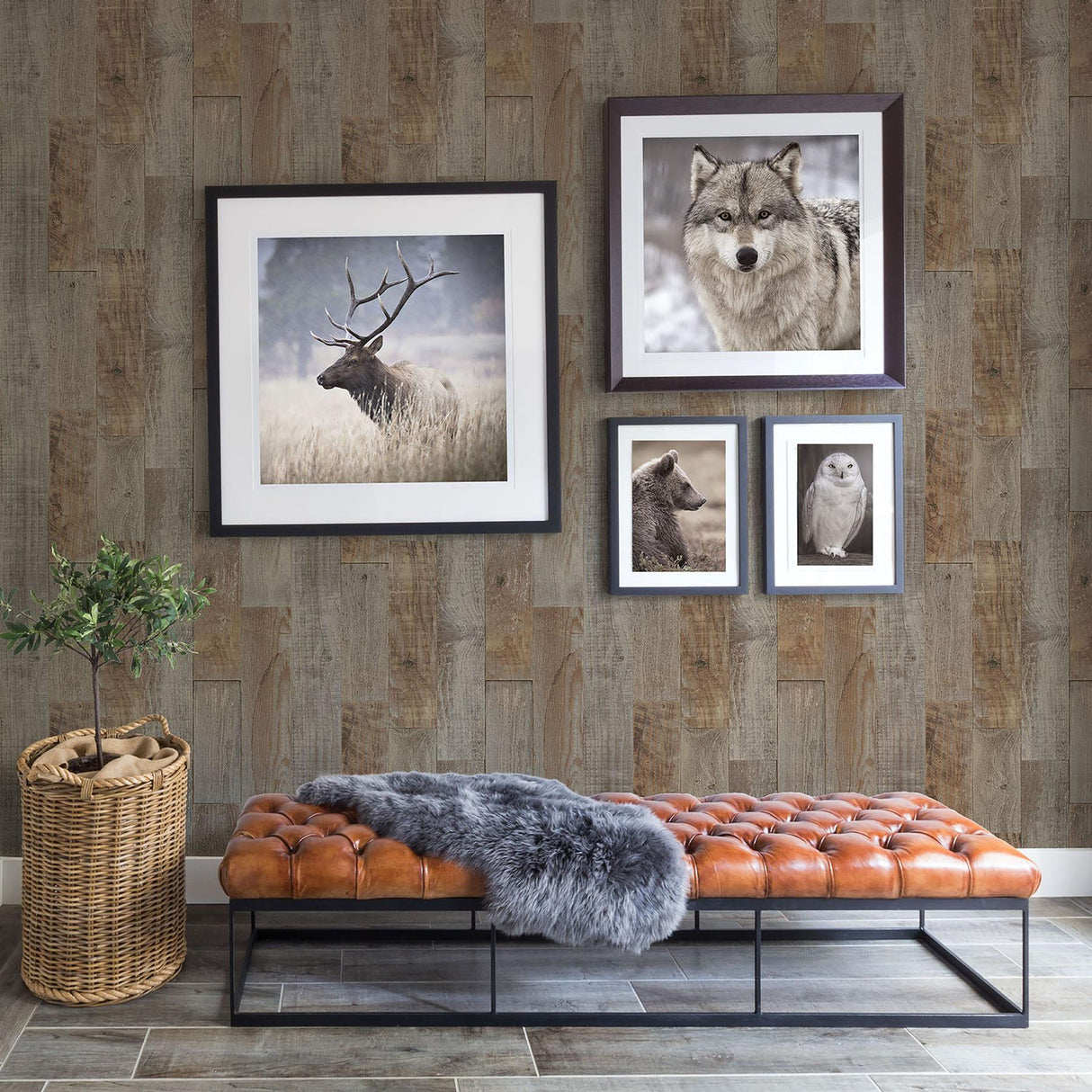 York Chebacco Brown Wooden Planks Wallpaper