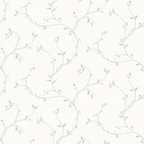 York Kurt Light Green Tin Star Trail Wallpaper