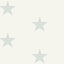 York Mcgraw Teal Stars Wallpaper
