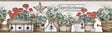 York Geranium Multicolor Flower Pot Border