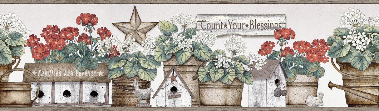 York Geranium Multicolor Flower Pot Border