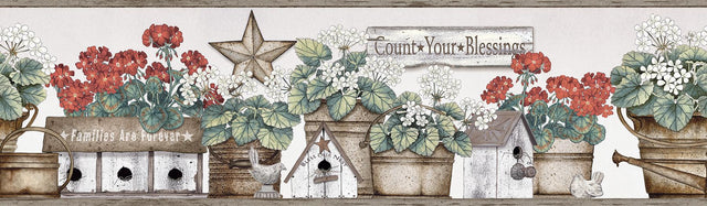 York Geranium Multicolor Flower Pot Border