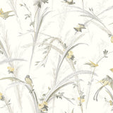 York Meadowlark Yellow Botanical Wallpaper