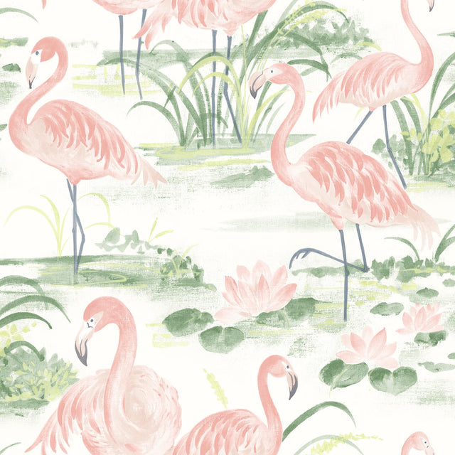York Everglades Coral Flamingos Wallpaper