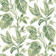 York Mangrove Green Botanical Wallpaper