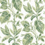 York Mangrove Green Botanical Wallpaper
