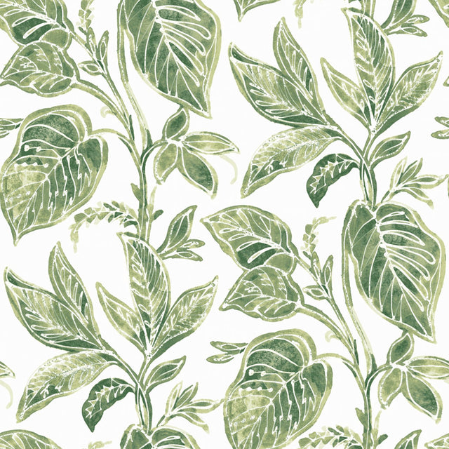 York Mangrove Green Botanical Wallpaper
