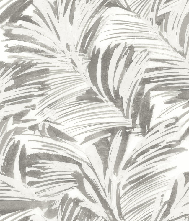 York Chaparral Grey Fronds Wallpaper