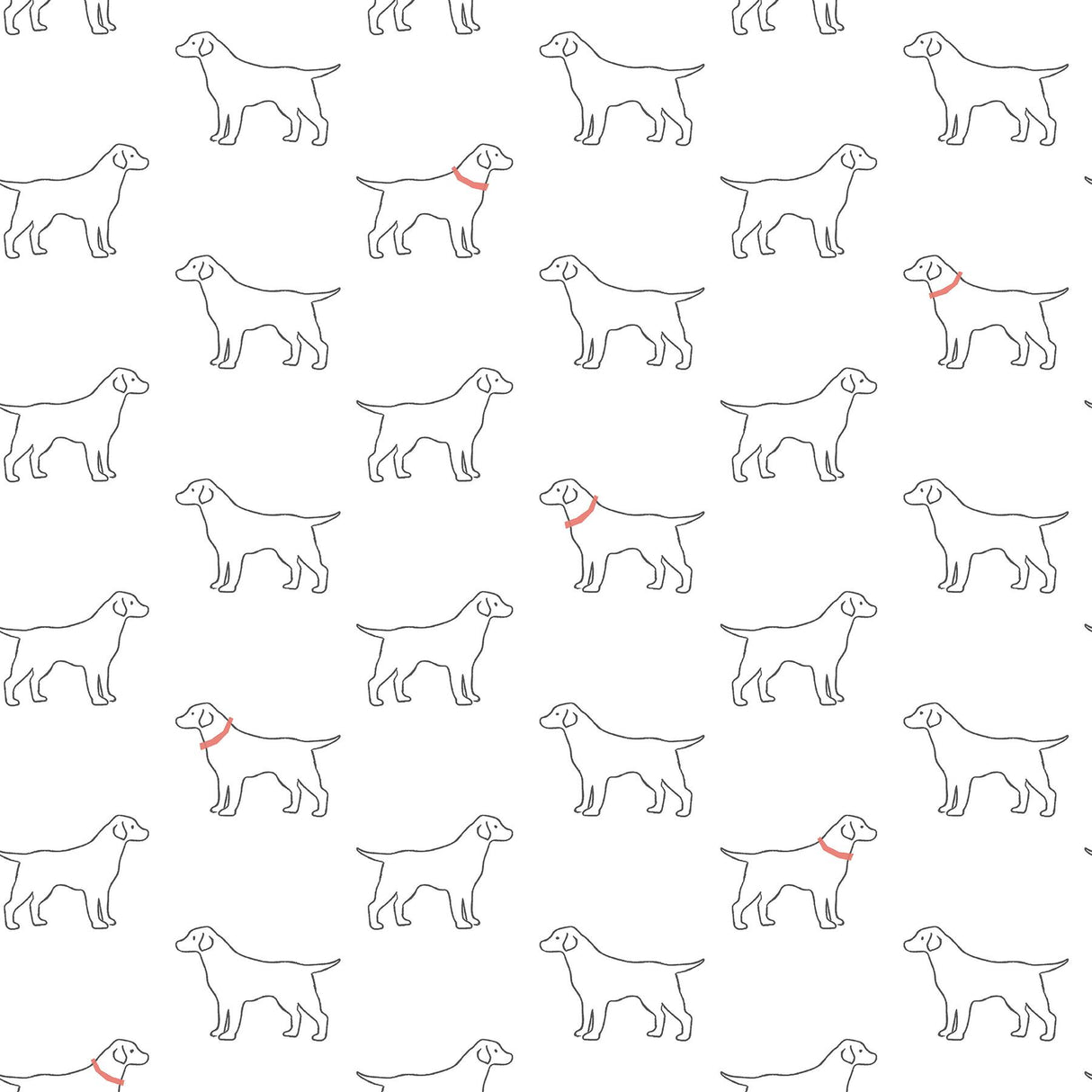 York Yoop White Dog Wallpaper