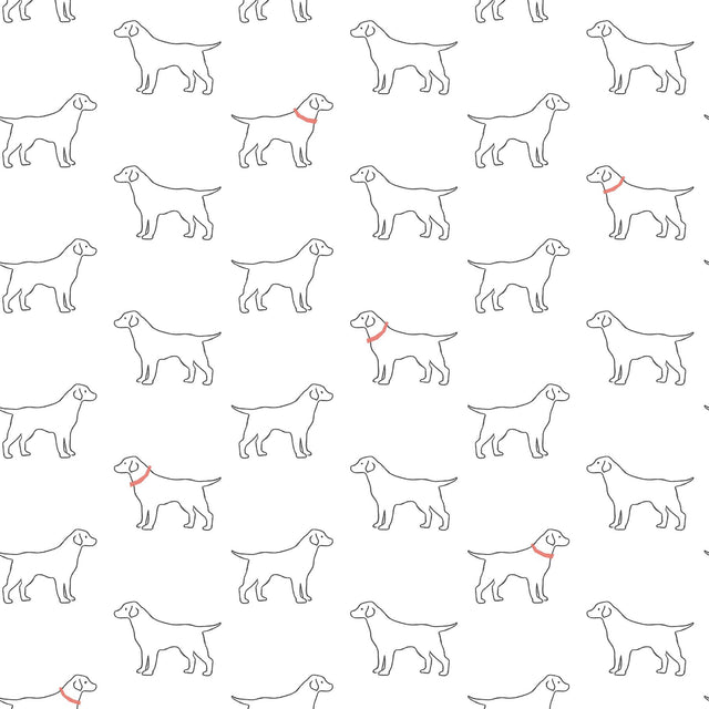 York Yoop White Dog Wallpaper