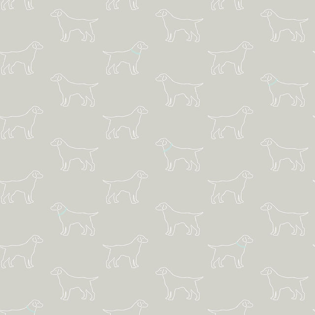 York Yoop Grey Dog Wallpaper
