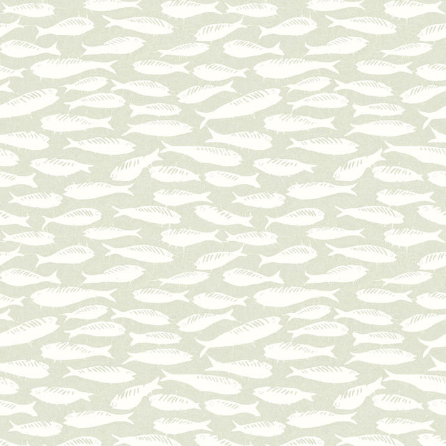 York Nunkie Sage Sardine Wallpaper