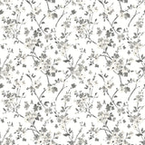 York Glinda Black Floral Trail Wallpaper
