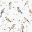 York Birdsong Orange Trail Wallpaper