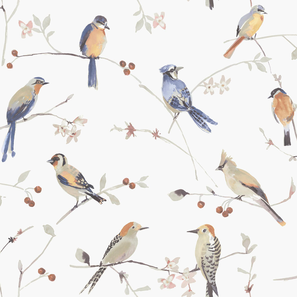 York Birdsong Orange Trail Wallpaper