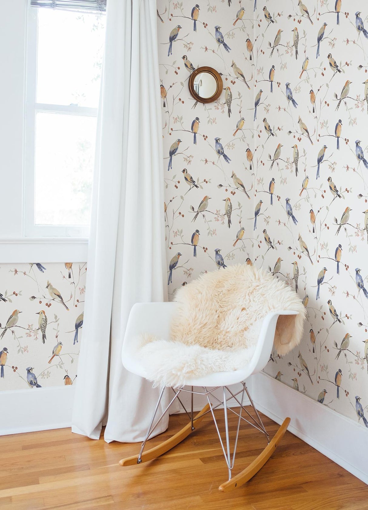 York Birdsong Orange Trail Wallpaper