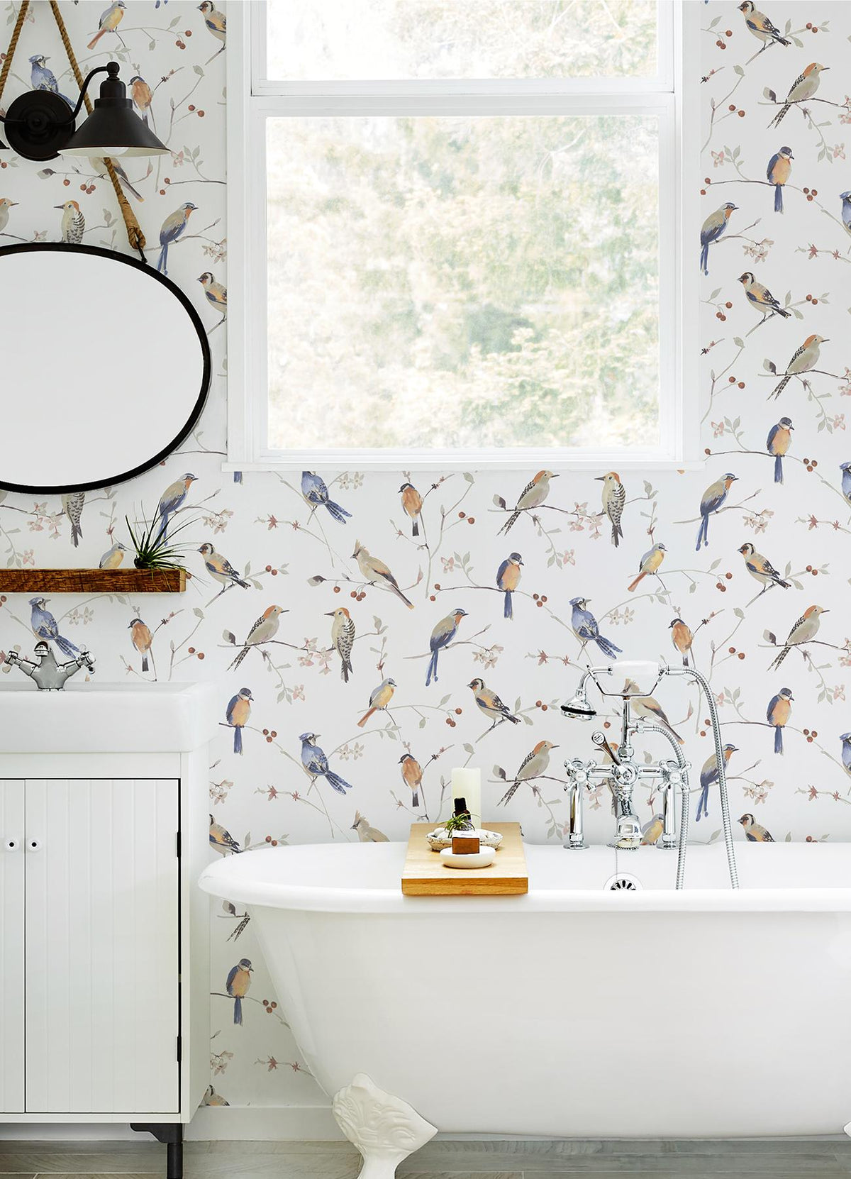York Birdsong Orange Trail Wallpaper
