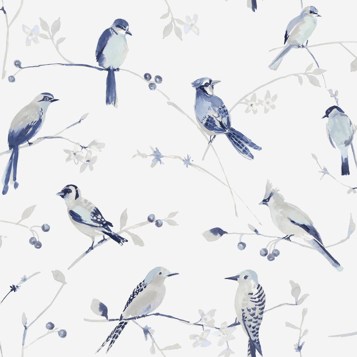 York Birdsong Blue Trail Wallpaper