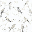 York Birdsong Grey Trail Wallpaper
