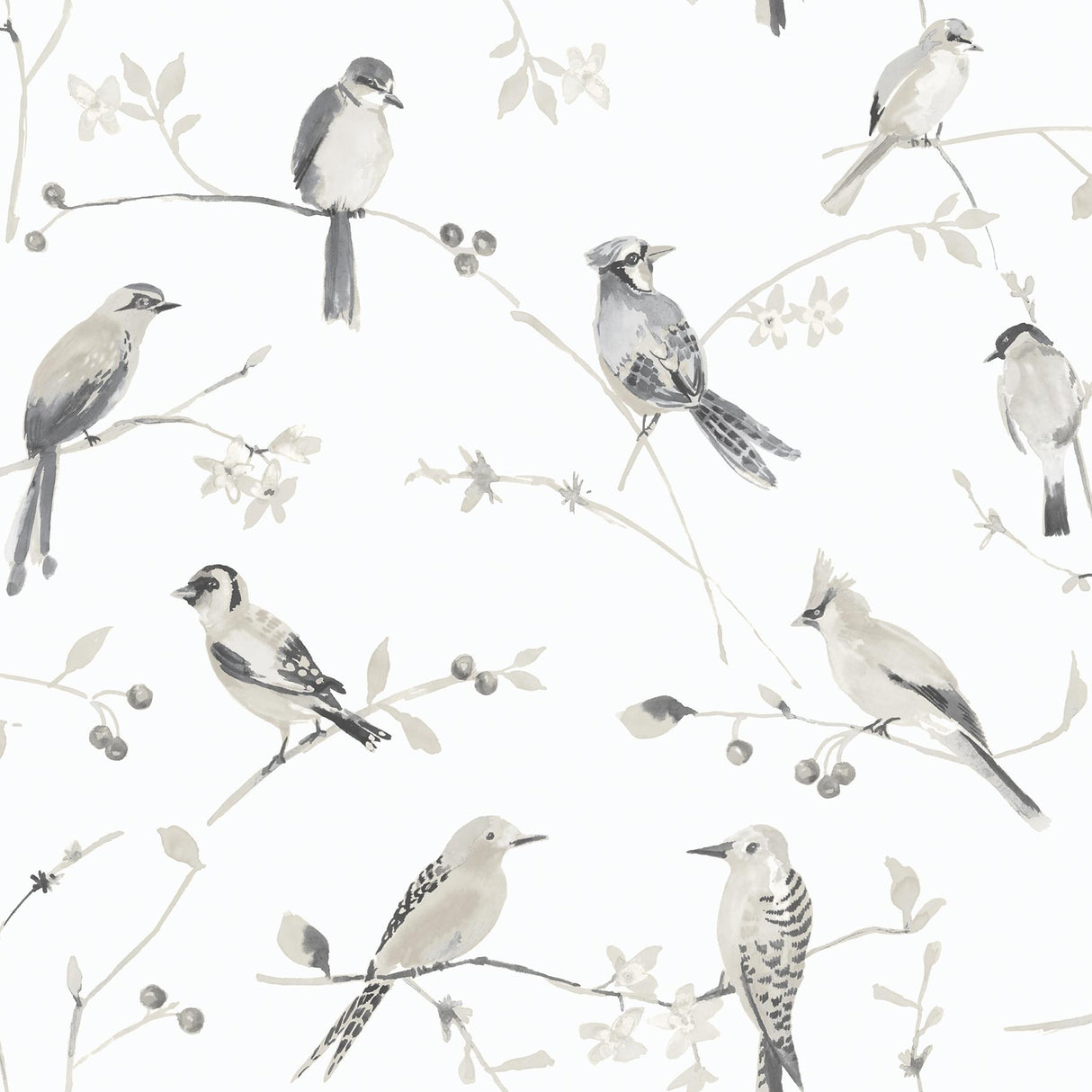 York Birdsong Grey Trail Wallpaper