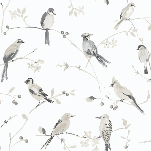 York Birdsong Grey Trail Wallpaper