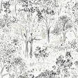 York Walden Black Forest Wallpaper