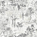 York Walden Black Forest Wallpaper