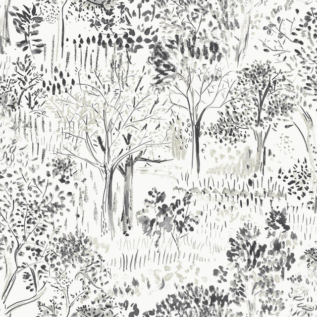 York Walden Black Forest Wallpaper