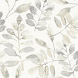York Pinnate Taupe Leaves Wallpaper