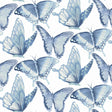 York Janetta Blue Butterfly Wallpaper