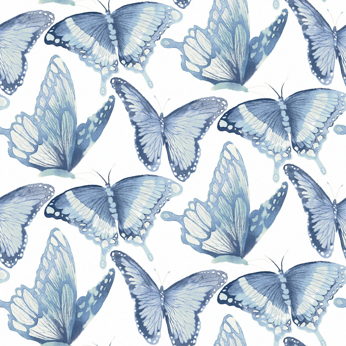 York Janetta Blue Butterfly Wallpaper