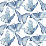 York Janetta Blue Butterfly Wallpaper