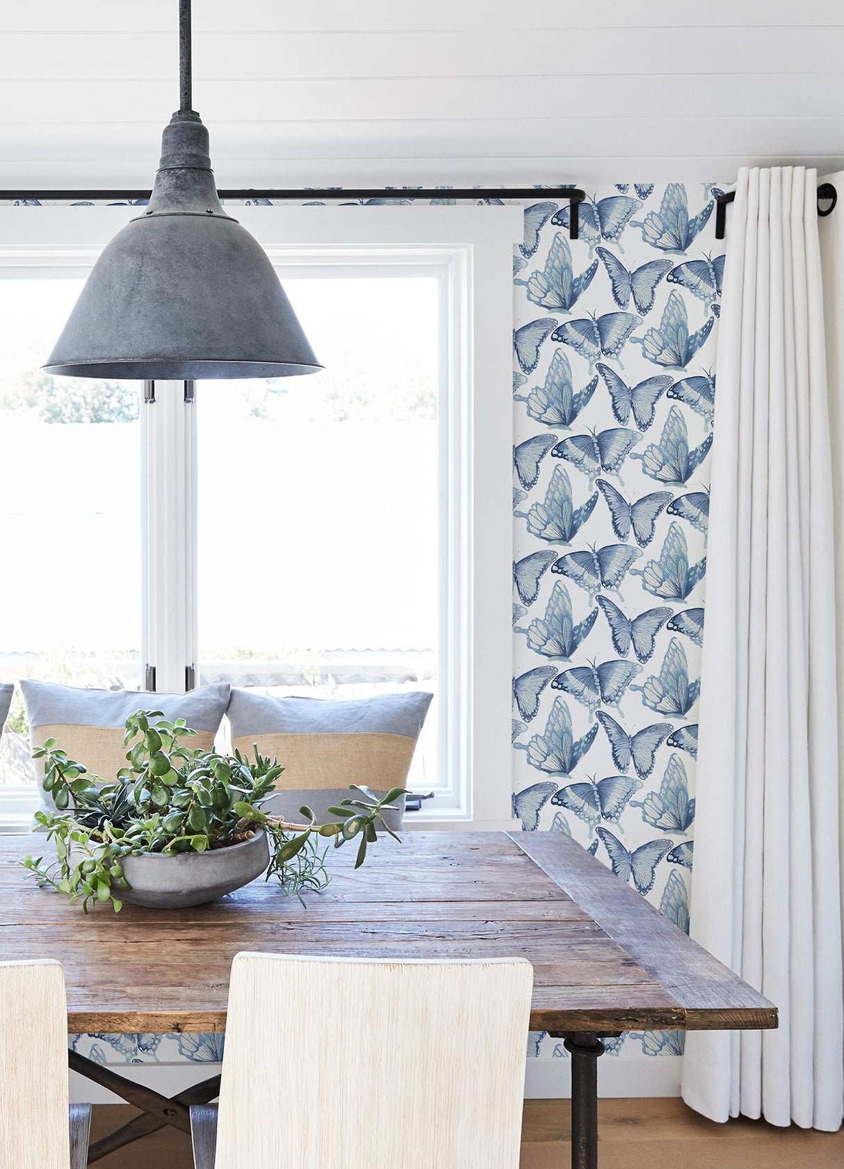 York Janetta Blue Butterfly Wallpaper