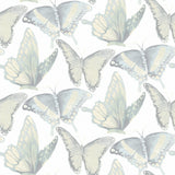 York Janetta Mint Butterfly Wallpaper