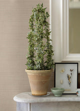 York Spinnaker Peach Netting Wallpaper