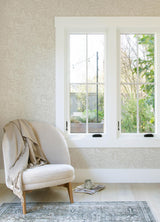 York Alrick Dove Forest Venture Wallpaper