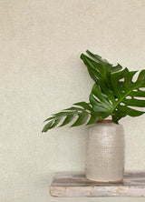 York Homespun Dove Textured Wallpaper