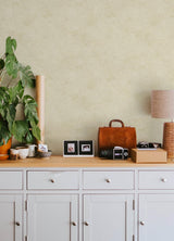 York Homespun Dove Textured Wallpaper