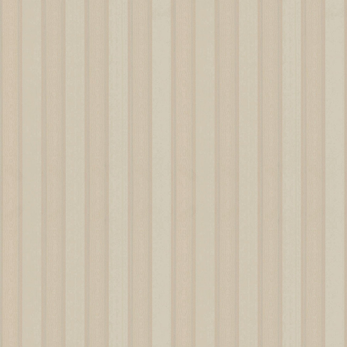 York Zeta Peach Moire Stripe Wallpaper