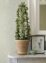 York Angelina Light Yellow Moire Wallpaper