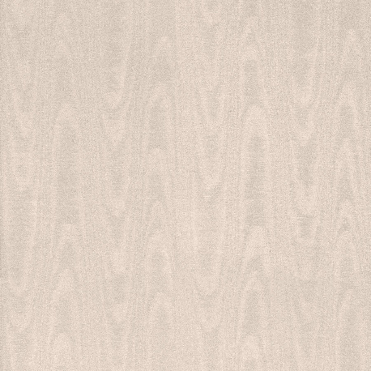 York Angelina Rose Moire Wallpaper