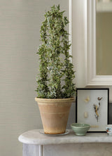 York Aida Beige Horizontal Silk Wallpaper