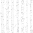 York Birdie Grey Birch Wallpaper