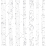 York Birdie Grey Birch Wallpaper