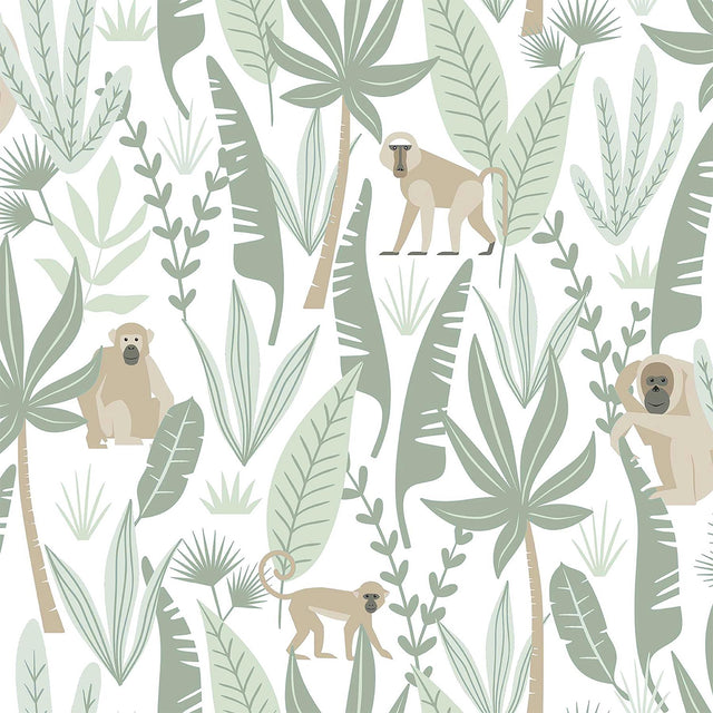 York Kiki Light Green Monkeys Wallpaper