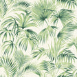 York Manaus Green Palm Frond Wallpaper