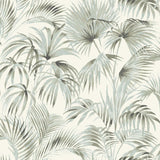York Manaus Aqua Palm Frond Wallpaper