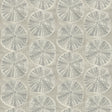 York Sea Biscuit Grey Sand Dollar Wallpaper