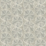 York Sea Biscuit Grey Sand Dollar Wallpaper