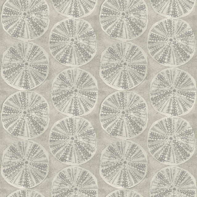 York Sea Biscuit Grey Sand Dollar Wallpaper